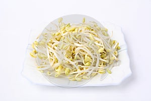 Soya bean sprouts photo