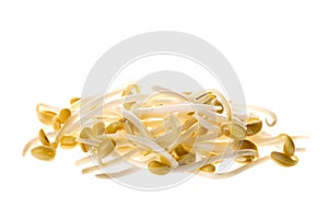 Soya Bean Sprouts