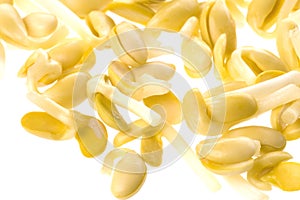 Soya Bean Sprouts