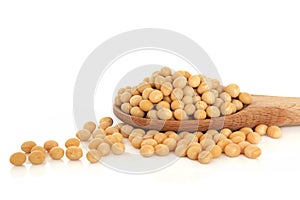 Soya Beans