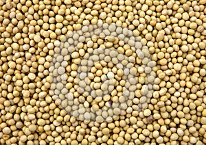 Soya Beans