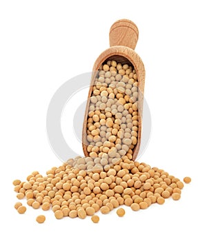 Soya Beans