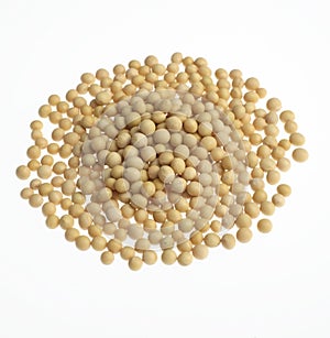 Soya beans