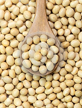 Soya beans