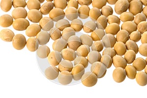 Soya Beans Isolated