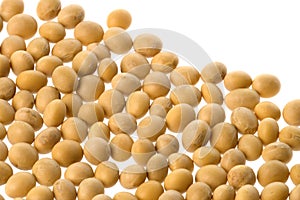 Soya Beans Isolated