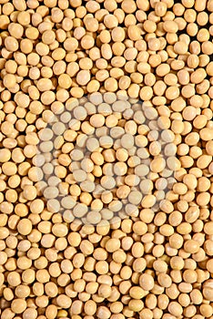 Soya Beans, Soybeans Background. Soybeans texture. top view. Healthy food. soy pattern. soya Raw bean seed food organic.