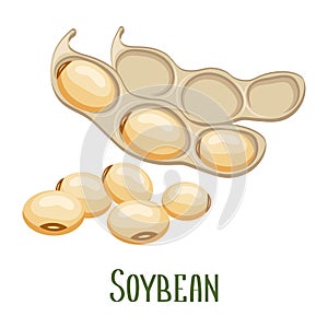Soya beans. Soybeans in pods. Food, legumes, agriculture. Illustration