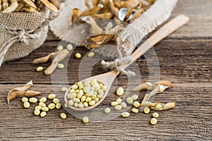 Soya beans in a wooden spoon photo