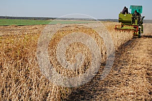 Soya harvesting