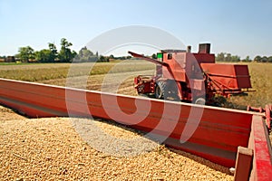 Soya harvesting