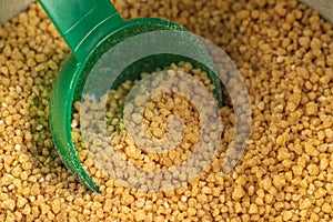 Soya Lecithin Granules and plastic spoon, macro photo. Vitamin and dietary supplements. Healthy nutrition concept