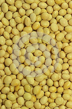 Soyabean