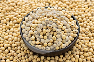 Soybean