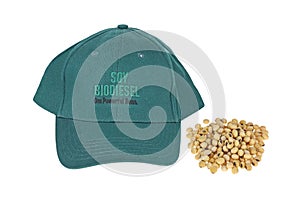 Soybean Biodiesel