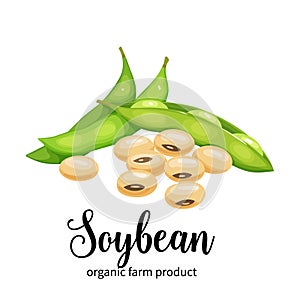 Soybean in cartoon style