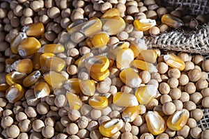 Soybean and corn seeds on jute background