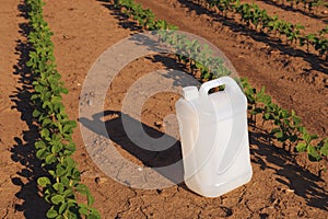 Soybean crop protection concept