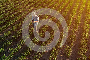 Soybean farmer with drone remote controller in field