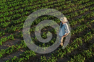 Soybean farmer in field, aerial view