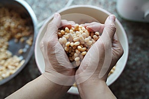 Soybean in hand heart and soak in water 3 hours before make soy milk.