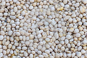 Soybean harvest, heap of dirty soy crop, selective focus of soya beans background, agriculture