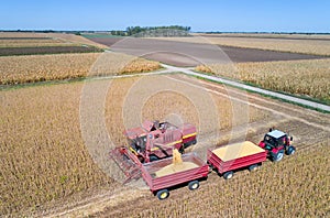 Soybean harvest shoot from drone