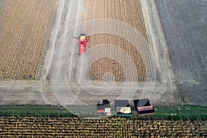 Soybean harvest shoot from drone