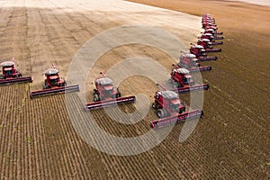 Soybean harvesting