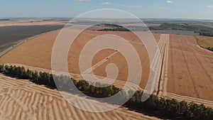 Soybean harvesting by combine harvester aerial view