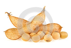 Soybean pods and beans isolated on white background. Dried soya beans, protein plant for health food