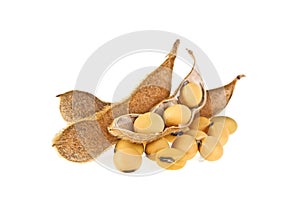 Soybean pods isolated on white background. Soya - protein plant for health food photo