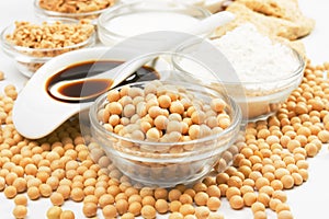 Soybean and soy products