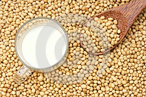 Soybean, soymilk, nutrition beverage