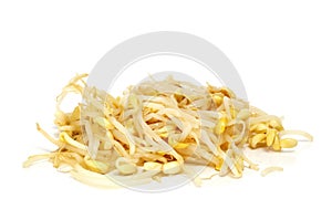 Soybean sprouts photo