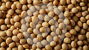 Soybeans background. AI generated.