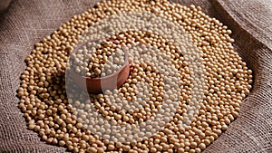 Soybeans in a bag, Ready-made raw seed material, Natural organic protein product, Meat substitute