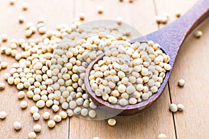 Soybeans photo