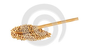 soybeans crumble from a wooden spoon isolated on white background