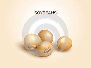 Soybeans design element