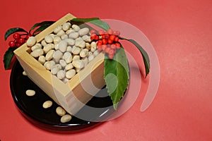 Soybeans of the Japanese setsubun festival #3