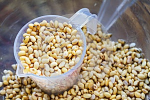 Soybeans in measuring cup. photo