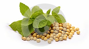 Soybeans with mint leaves isolated on white background. Ideal for food and health related content. For banner, poster