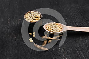 Soybeans pod, harvest of soy beans background. Soybeans on a wooden background. rustic style