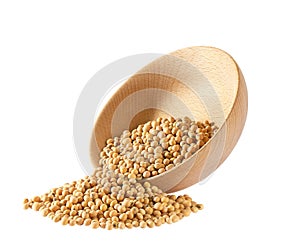 soybeans are scattered out of the wooden bowl isolated on white background