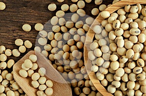 Soybeans seed in wooden bowl. vegetarian food ingredient organic healthy natural raw