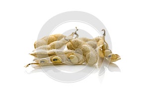 Soybeans in shells isolated
