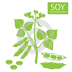 Soybeans silhouette. Vector illustrations set on a white background. Soybeans protein.