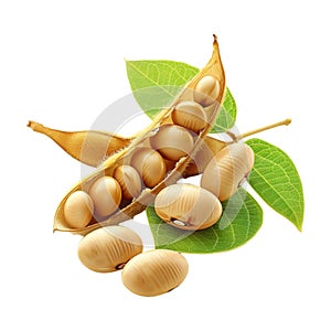 Soybeans on Transparent Background - Ai Generated