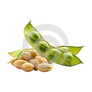 Soybeans on Transparent Background - Ai Generated